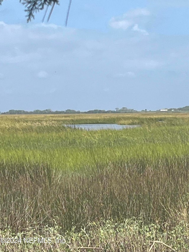 view of local wilderness with a rural view