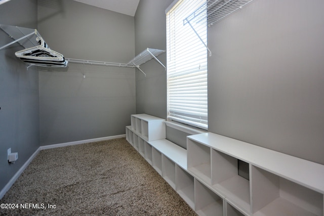 spacious closet with carpet