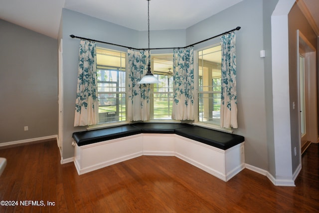 interior space with dark hardwood / wood-style floors