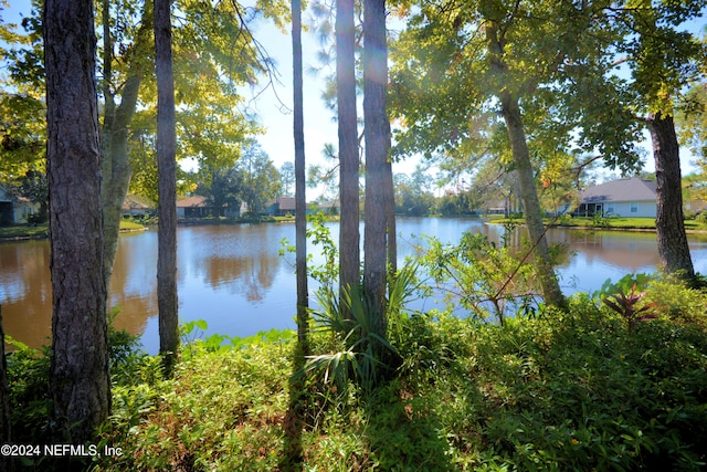 view of water feature