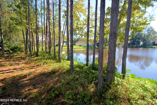 water view