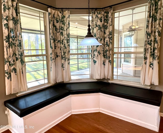 interior space featuring dark hardwood / wood-style floors, ceiling fan, and a wealth of natural light