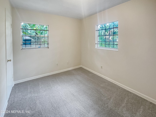 carpeted spare room featuring a wealth of natural light