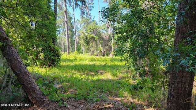 104 Eberhard Ave, Palatka FL, 32177 land for sale