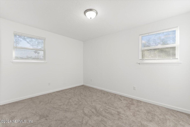 empty room featuring a healthy amount of sunlight and light carpet