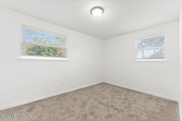 carpeted empty room featuring a healthy amount of sunlight