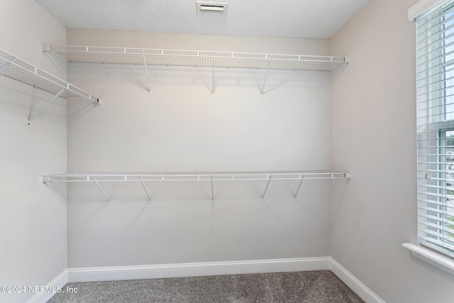 160 Paradas Pl, Saint Augustine, FL 32092 - photo 44