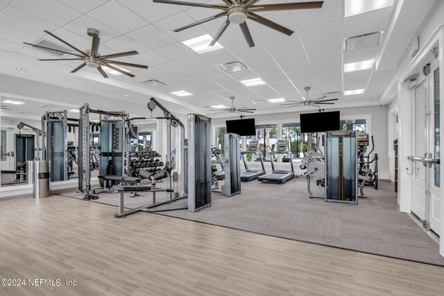 exercise room featuring a paneled ceiling, light wood-style flooring, and a ceiling fan