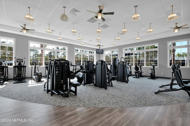 exercise room with a ceiling fan, a healthy amount of sunlight, visible vents, and wood finished floors