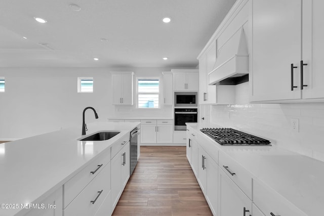 kitchen with wall oven, a sink, stainless steel dishwasher, custom exhaust hood, and built in microwave