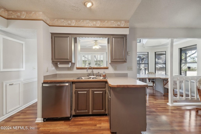 kitchen with dark wood-type flooring, a wealth of natural light, sink, and dishwasher