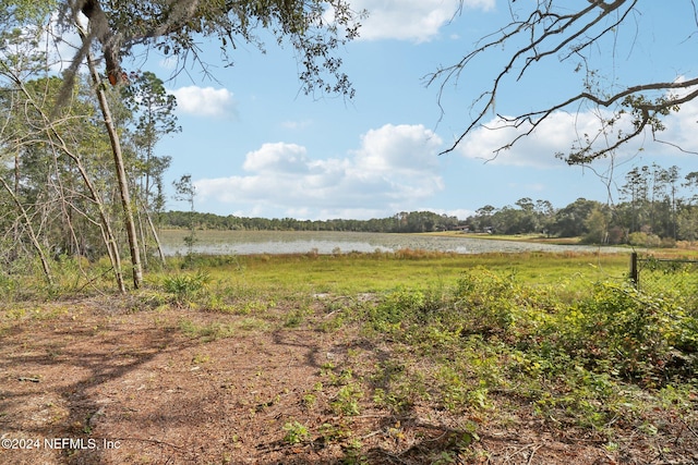 view of yard with a water view