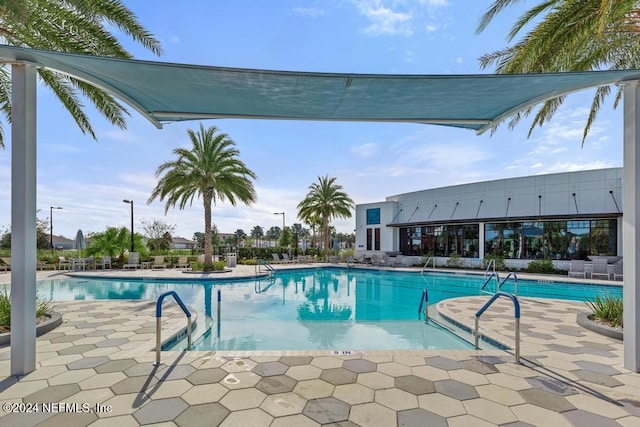 view of pool featuring a patio area