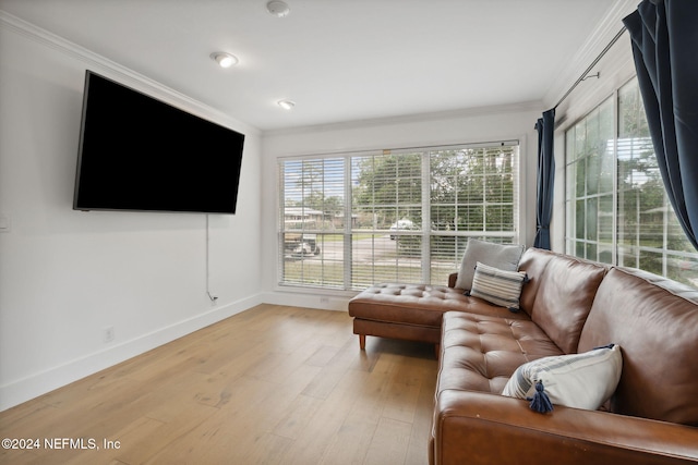 living room with light hardwood / wood-style flooring and ornamental molding