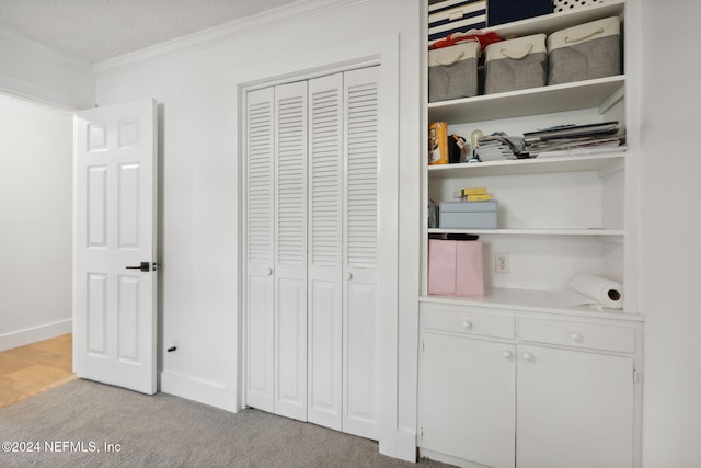 view of closet