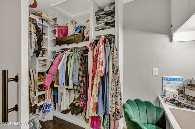 spacious closet with dark hardwood / wood-style floors