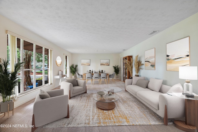 living room with a textured ceiling and carpet