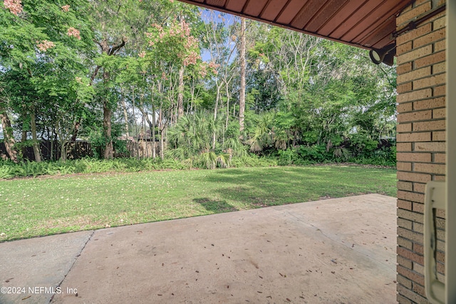 view of yard featuring a patio