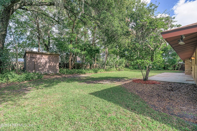 view of yard with a storage unit and a patio