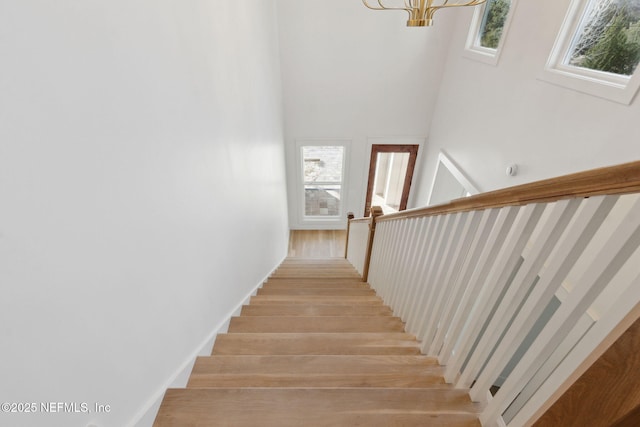 stairway featuring wood finished floors