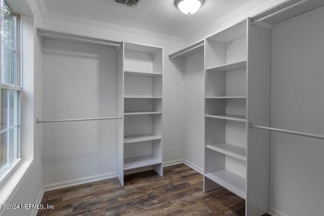 spacious closet with dark hardwood / wood-style floors