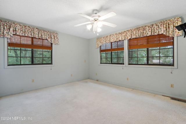 300 Raintree Trl, Saint Augustine, FL 32086 - spare room featuring healthy amount of natural light, carpet flooring, and a textured ceiling