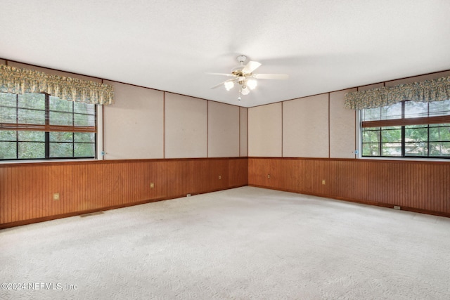 300 Raintree Trl, Saint Augustine, FL 32086 - spare room with a ceiling fan, carpet floors, wood walls, and a wainscoted wall