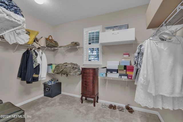 spacious closet featuring carpet