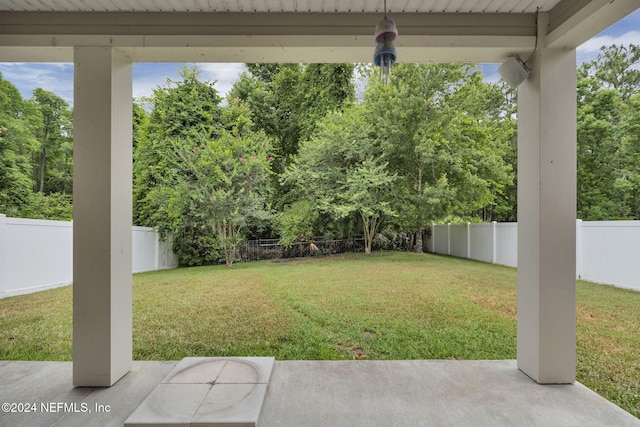 view of yard with a fenced backyard