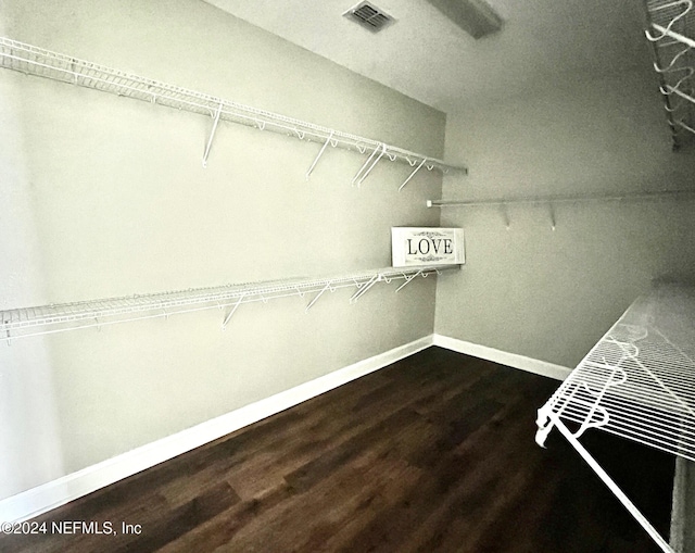 spacious closet featuring dark hardwood / wood-style flooring