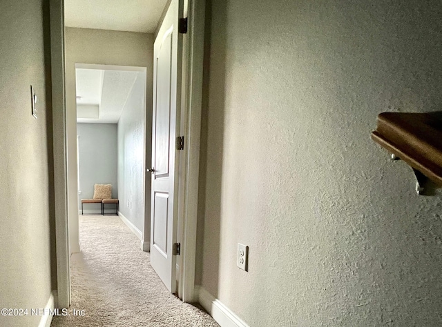 hallway with carpet flooring