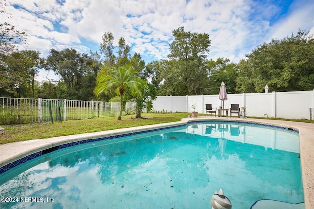 view of swimming pool featuring a patio area