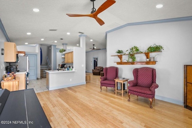 living room with a textured ceiling, light hardwood / wood-style floors, and ornamental molding