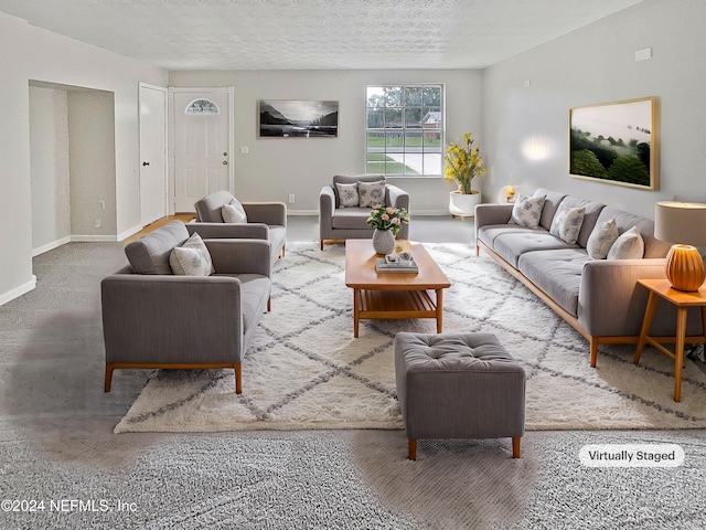 living room with a textured ceiling