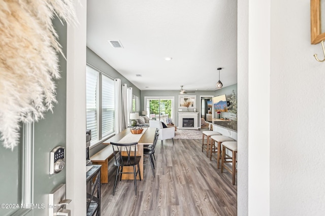 dining space featuring wood-type flooring and ceiling fan