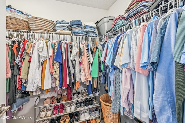 view of walk in closet