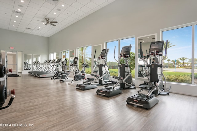 exercise room with a wealth of natural light, ceiling fan, a towering ceiling, and hardwood / wood-style flooring