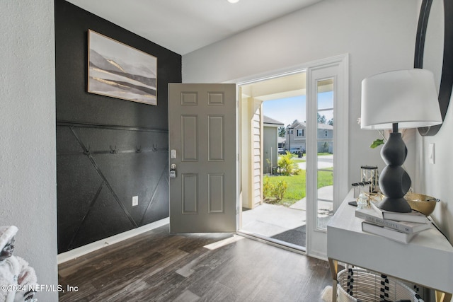 foyer entrance featuring dark wood-type flooring