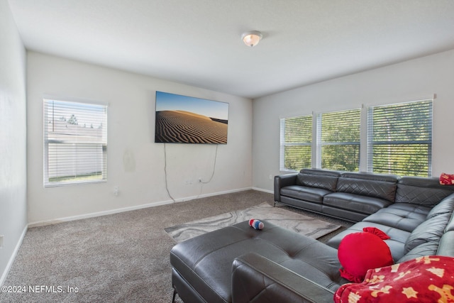 living room featuring carpet and a healthy amount of sunlight