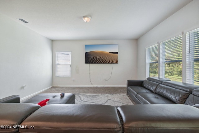 living room with light carpet