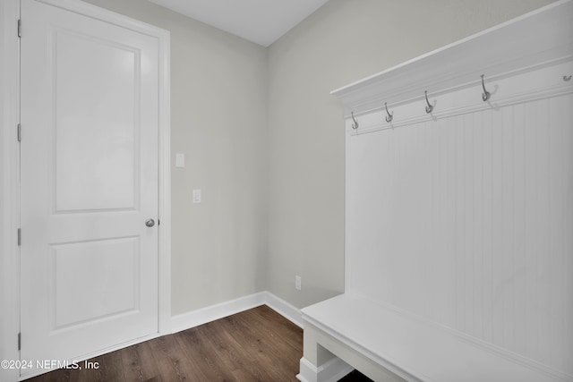 mudroom with wood-type flooring