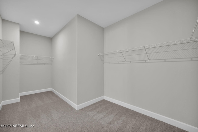 walk in closet featuring carpet flooring