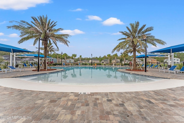 view of pool featuring a patio