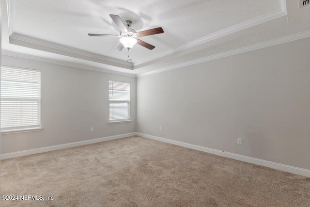 carpeted spare room with ceiling fan, crown molding, and a raised ceiling