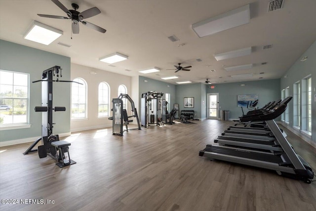 gym featuring plenty of natural light and hardwood / wood-style flooring