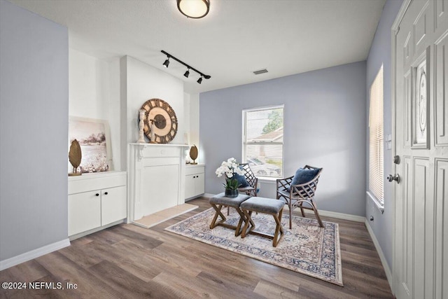 sitting room featuring wood-type flooring and track lighting