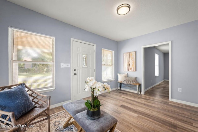 sitting room with hardwood / wood-style flooring and a healthy amount of sunlight