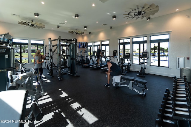 workout area featuring a wealth of natural light