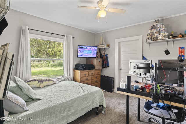 bedroom with ceiling fan, ornamental molding, and carpet