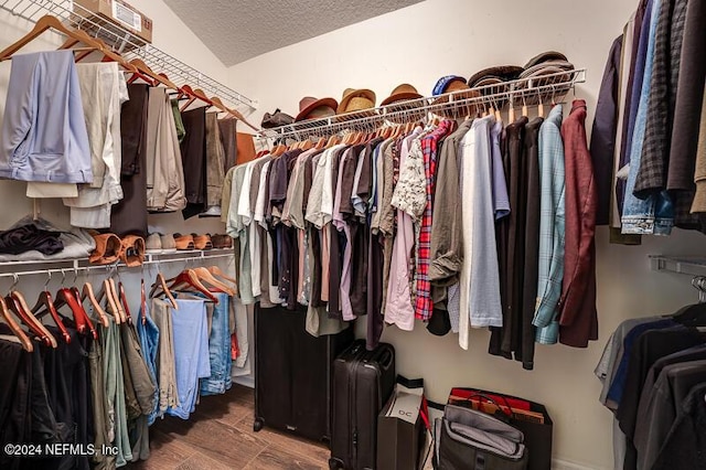 spacious closet featuring wood-type flooring